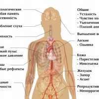 Гипотиреоз альтернативное лечение щитовидной железы
