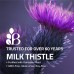 Расторопша с корнем одуванчика 1000 мг MILK THISTLE FORTIFIED WITH DANDELION ROOT 120 капсул