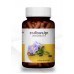 Пищевая добавка от похмелья Раан Джит Thunbergia laurifolia 60 капсул