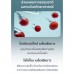 Сыворотка Artistry Skin Nutrition Correcting Serum 30 мл.