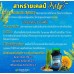 Морские водоросли Келп для восполнения йода Kelp Plus Herbal One 60 капсул