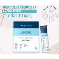 Пищевая добавка SKGRO PLUS ACTIVE RECOMPLEX PYCNOGENOL MULTIMAX 10 пакетиков