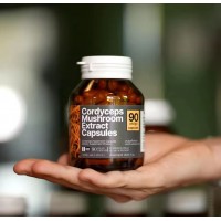 Экстракт  Ежовика гребенчатого Lion's Mane Mushroom Extract 90 капсул 