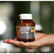 Экстракт  Ежовика гребенчатого Lion's Mane Mushroom Extract 90 капсул 