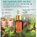 Red Pine Rejuvenating Essential Serum Премиум класса для глубокого восстановления кожи лица 8 мл.