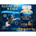 Algal Oil + DHA Kids для иммунитета, улучшения памяти и зрения детей от 2 лет 60 капсул