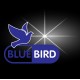 BlueBird BlueBird