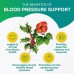 Премиальная добавка для поддержания артериального давления PurePremium Blood Pressure Supplements 30 капсул