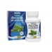 Тайские Фито-капсулы от простуды HERB THAI ZHONG BRAND ANDROGRAPHIS