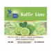 Капсулы экстракта Бергамота Kaffir Lime Bluebird 60 шт