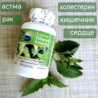 Уникальные капсулы Янанг, диабет, сердце, рак , 60 капсул.