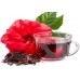 Чай каркаде, суданская роза полезные свойства, купить. 